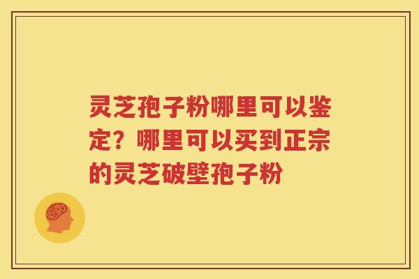 灵芝孢子粉哪里可以鉴定？哪里可以买到正宗的灵芝破壁孢子粉