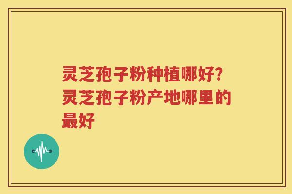 灵芝孢子粉种植哪好？灵芝孢子粉产地哪里的最好