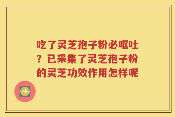 吃了灵芝孢子粉必呕吐？已采集了灵芝孢子粉的灵芝功效作用怎样呢