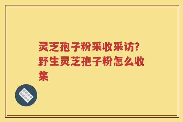 灵芝孢子粉采收采访？野生灵芝孢子粉怎么收集