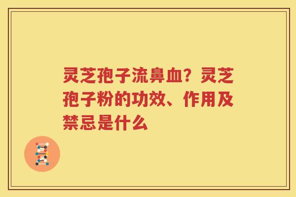 灵芝孢子流鼻血？灵芝孢子粉的功效、作用及禁忌是什么