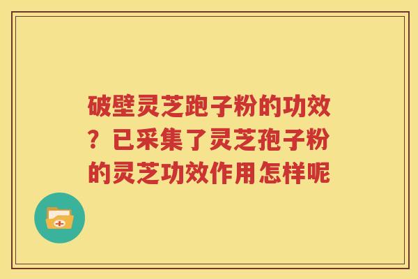 破壁灵芝跑子粉的功效？已采集了灵芝孢子粉的灵芝功效作用怎样呢