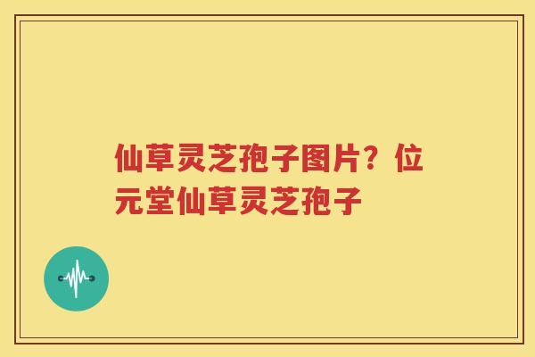 仙草灵芝孢子图片？位元堂仙草灵芝孢子