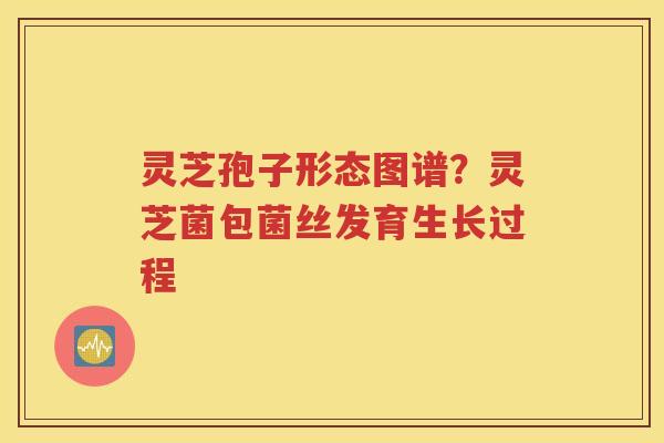 灵芝孢子形态图谱？灵芝菌包菌丝发育生长过程