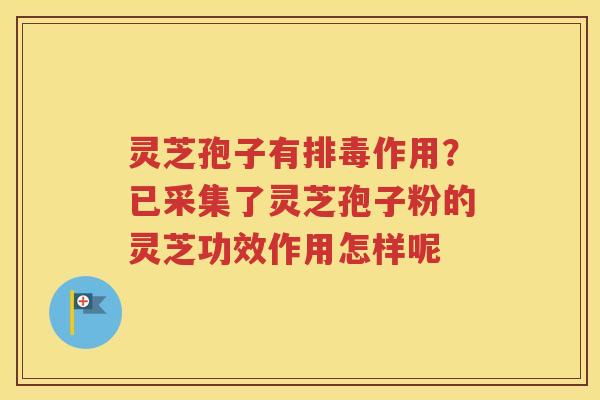 灵芝孢子有排毒作用？已采集了灵芝孢子粉的灵芝功效作用怎样呢