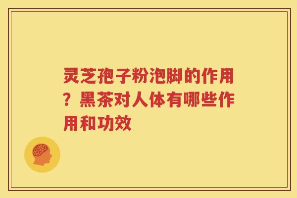 灵芝孢子粉泡脚的作用？黑茶对人体有哪些作用和功效
