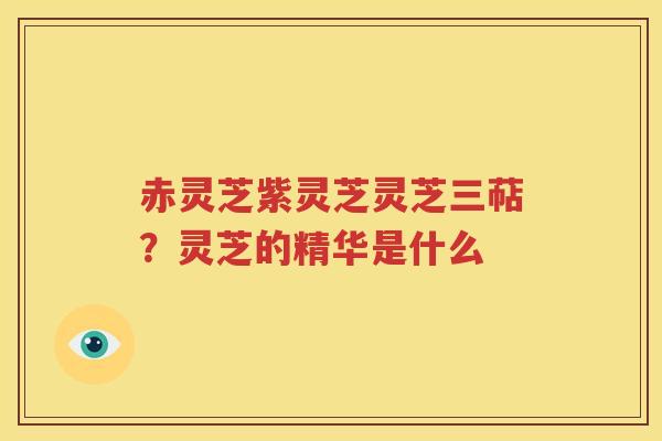 赤灵芝紫灵芝灵芝三萜？灵芝的精华是什么