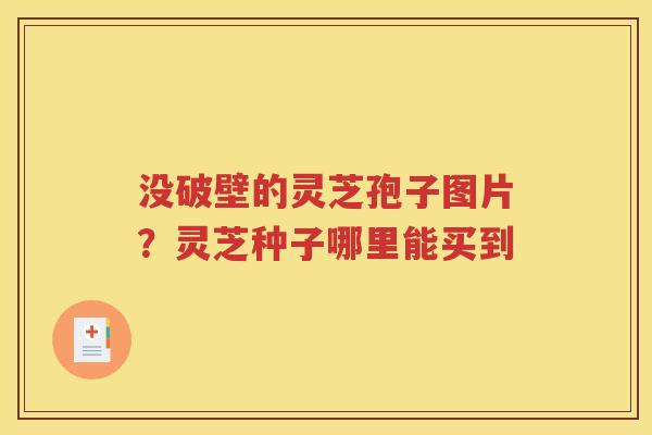 没破壁的灵芝孢子图片？灵芝种子哪里能买到