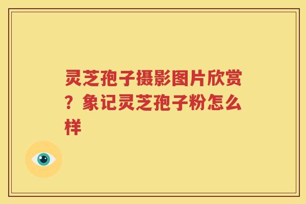 灵芝孢子摄影图片欣赏？象记灵芝孢子粉怎么样