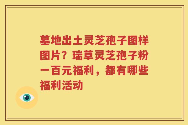墓地出土灵芝孢子图样图片？瑞草灵芝孢子粉一百元福利，都有哪些福利活动