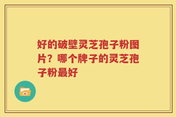 好的破壁灵芝孢子粉图片？哪个牌子的灵芝孢子粉最好
