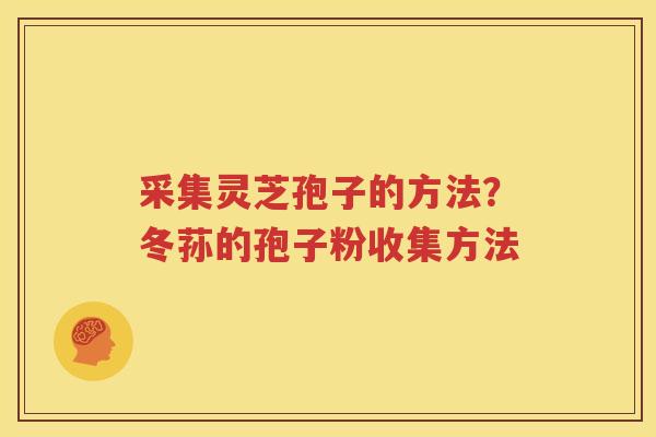 采集灵芝孢子的方法？冬荪的孢子粉收集方法