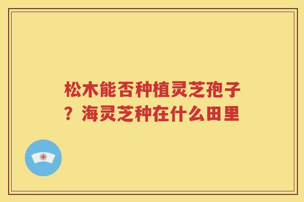 松木能否种植灵芝孢子？海灵芝种在什么田里