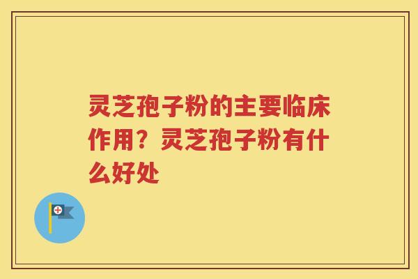 灵芝孢子粉的主要临床作用？灵芝孢子粉有什么好处