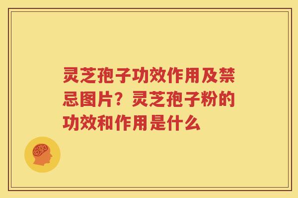 灵芝孢子功效作用及禁忌图片？灵芝孢子粉的功效和作用是什么