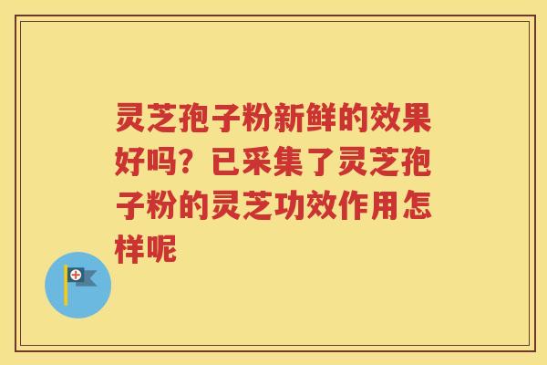 灵芝孢子粉新鲜的效果好吗？已采集了灵芝孢子粉的灵芝功效作用怎样呢
