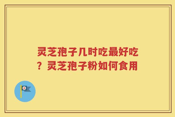 灵芝孢子几时吃最好吃？灵芝孢子粉如何食用