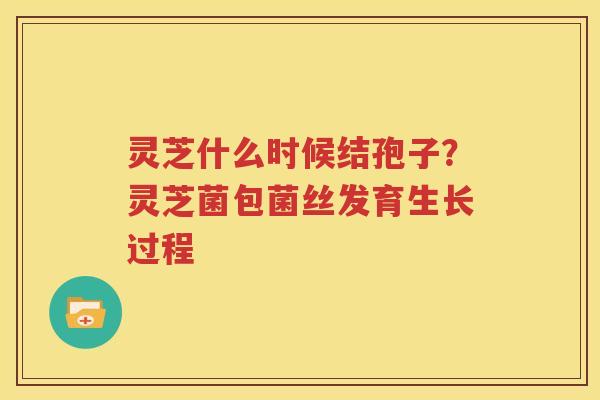 灵芝什么时候结孢子？灵芝菌包菌丝发育生长过程