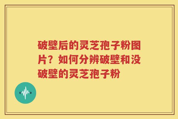 破壁后的灵芝孢子粉图片？如何分辨破壁和没破壁的灵芝孢子粉