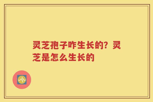 灵芝孢子咋生长的？灵芝是怎么生长的