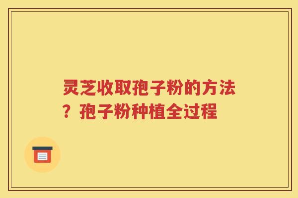 灵芝收取孢子粉的方法？孢子粉种植全过程