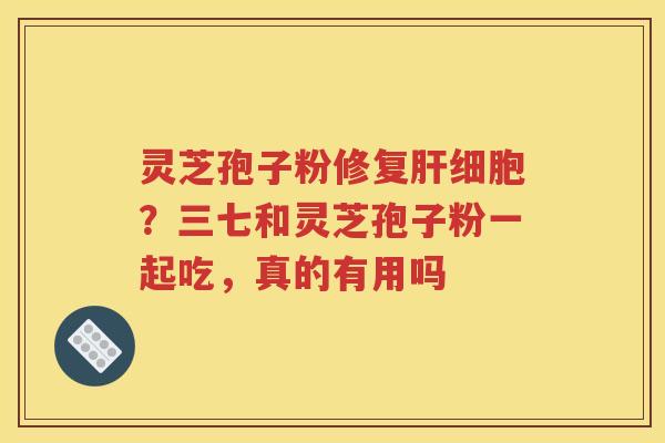 灵芝孢子粉修复肝细胞？三七和灵芝孢子粉一起吃，真的有用吗
