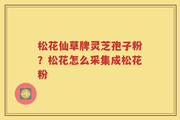 松花仙草牌灵芝孢子粉？松花怎么采集成松花粉