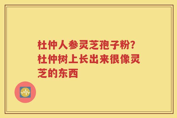 杜仲人参灵芝孢子粉？杜仲树上长出来很像灵芝的东西
