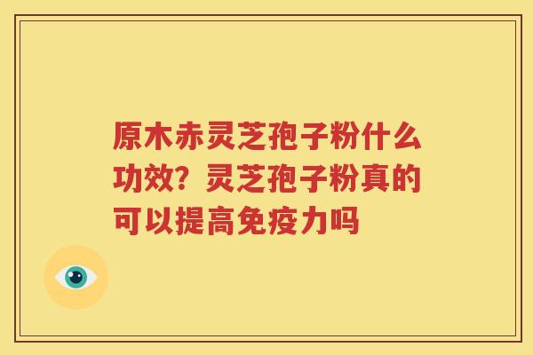 原木赤灵芝孢子粉什么功效？灵芝孢子粉真的可以提高免疫力吗