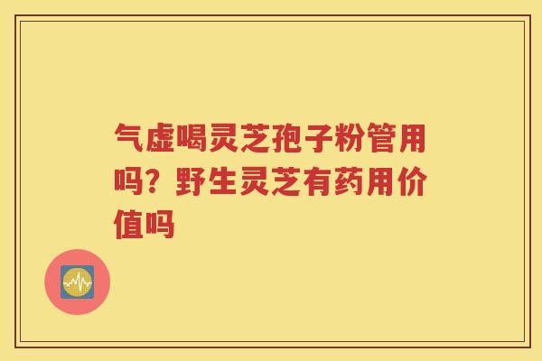 气虚喝灵芝孢子粉管用吗？野生灵芝有药用价值吗
