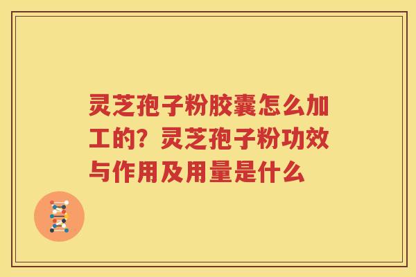 灵芝孢子粉胶囊怎么加工的？灵芝孢子粉功效与作用及用量是什么