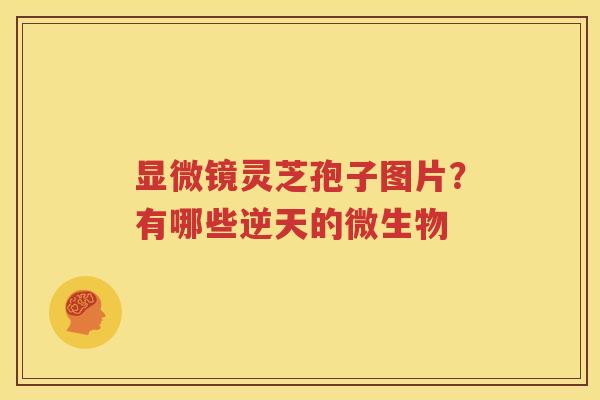 显微镜灵芝孢子图片？有哪些逆天的微生物