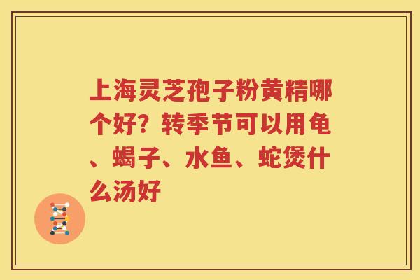 上海灵芝孢子粉黄精哪个好？转季节可以用龟、蝎子、水鱼、蛇煲什么汤好