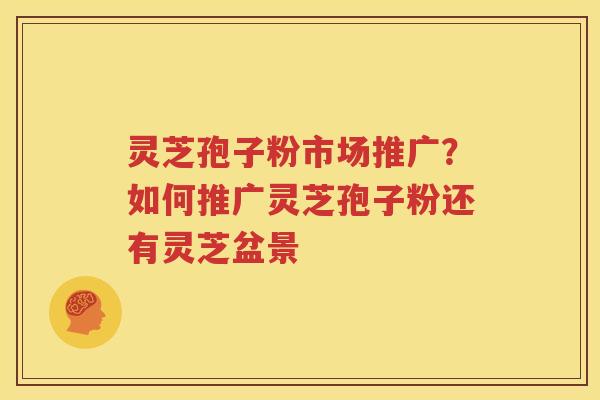 灵芝孢子粉市场推广？如何推广灵芝孢子粉还有灵芝盆景