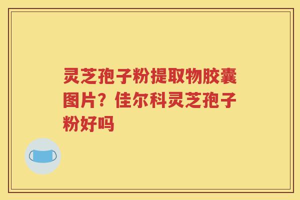 灵芝孢子粉提取物胶囊图片？佳尔科灵芝孢子粉好吗