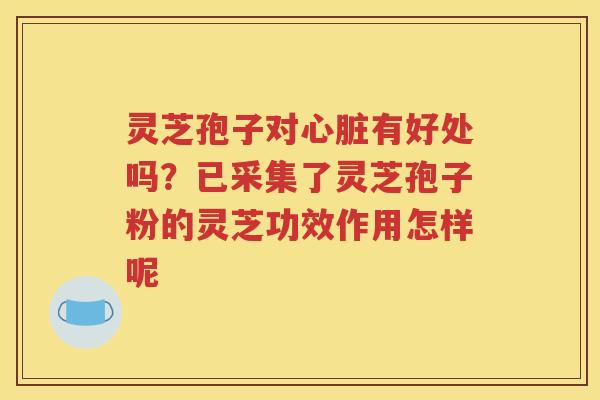 灵芝孢子对心脏有好处吗？已采集了灵芝孢子粉的灵芝功效作用怎样呢