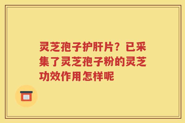 灵芝孢子护肝片？已采集了灵芝孢子粉的灵芝功效作用怎样呢