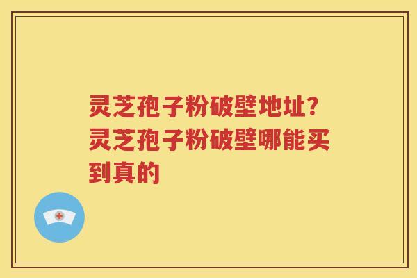 灵芝孢子粉破壁地址？灵芝孢子粉破壁哪能买到真的