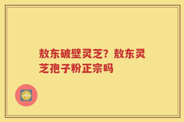 敖东破壁灵芝？敖东灵芝孢子粉正宗吗