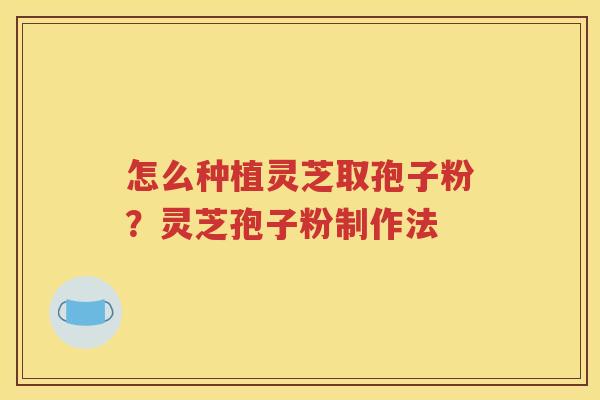 怎么种植灵芝取孢子粉？灵芝孢子粉制作法