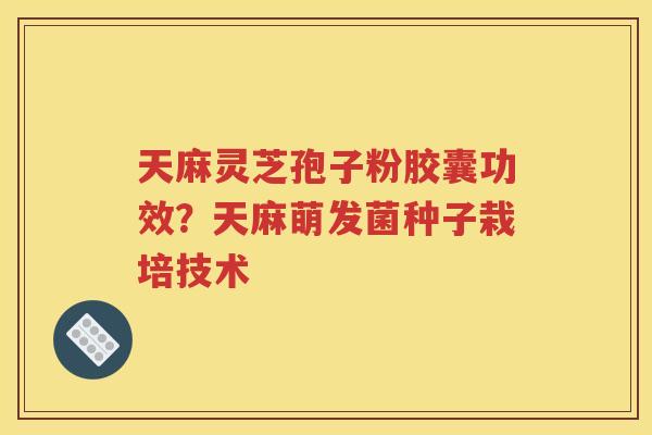 天麻灵芝孢子粉胶囊功效？天麻萌发菌种子栽培技术