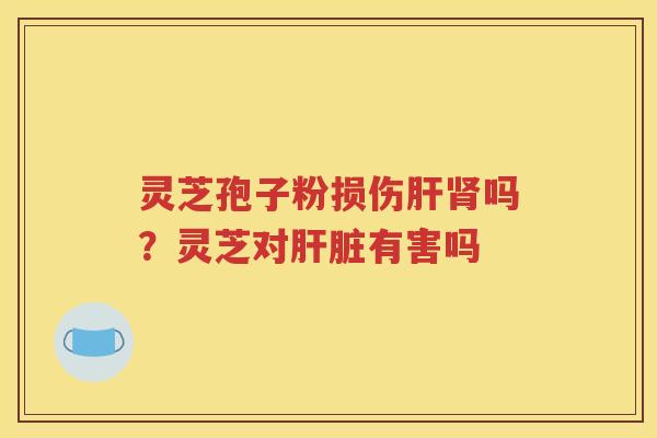灵芝孢子粉损伤肝肾吗？灵芝对肝脏有害吗
