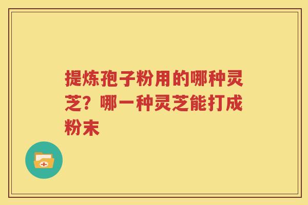 提炼孢子粉用的哪种灵芝？哪一种灵芝能打成粉末