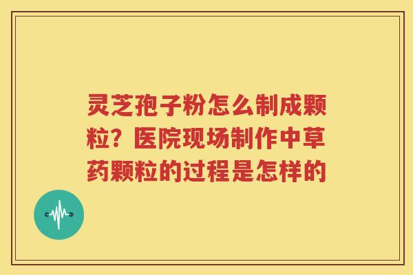 灵芝孢子粉怎么制成颗粒？医院现场制作中草药颗粒的过程是怎样的