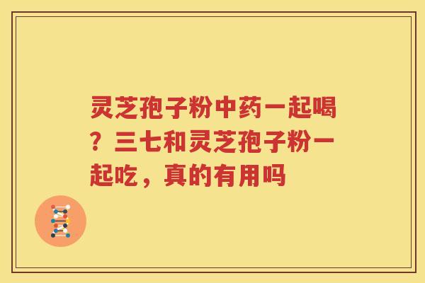 灵芝孢子粉中药一起喝？三七和灵芝孢子粉一起吃，真的有用吗