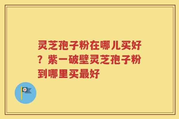 灵芝孢子粉在哪儿买好？紫一破壁灵芝孢子粉到哪里买最好