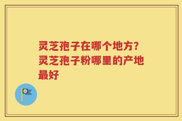 灵芝孢子在哪个地方？灵芝孢子粉哪里的产地最好