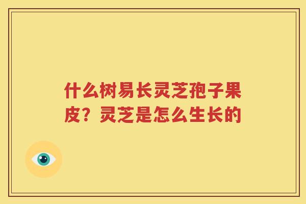 什么树易长灵芝孢子果皮？灵芝是怎么生长的