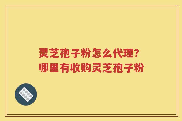 灵芝孢子粉怎么代理？哪里有收购灵芝孢子粉