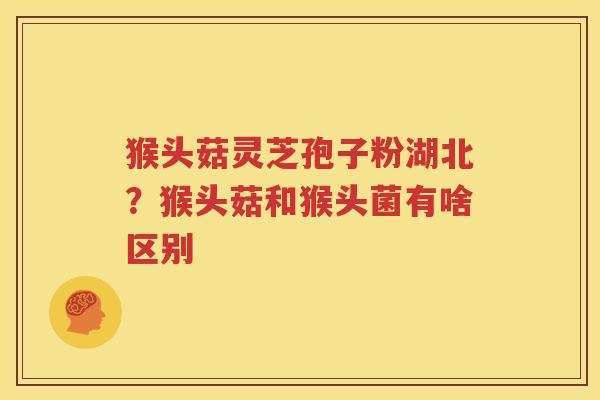 猴头菇灵芝孢子粉湖北？猴头菇和猴头菌有啥区别